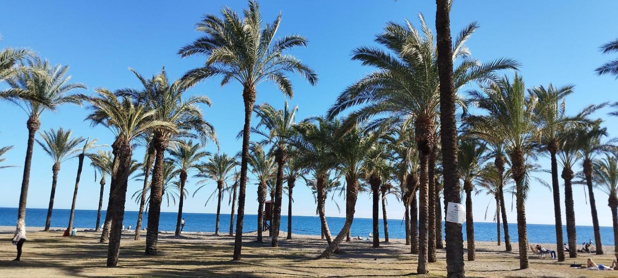 San Antonio - Beach, Pool And Terrace Torremolinos Ngoại thất bức ảnh