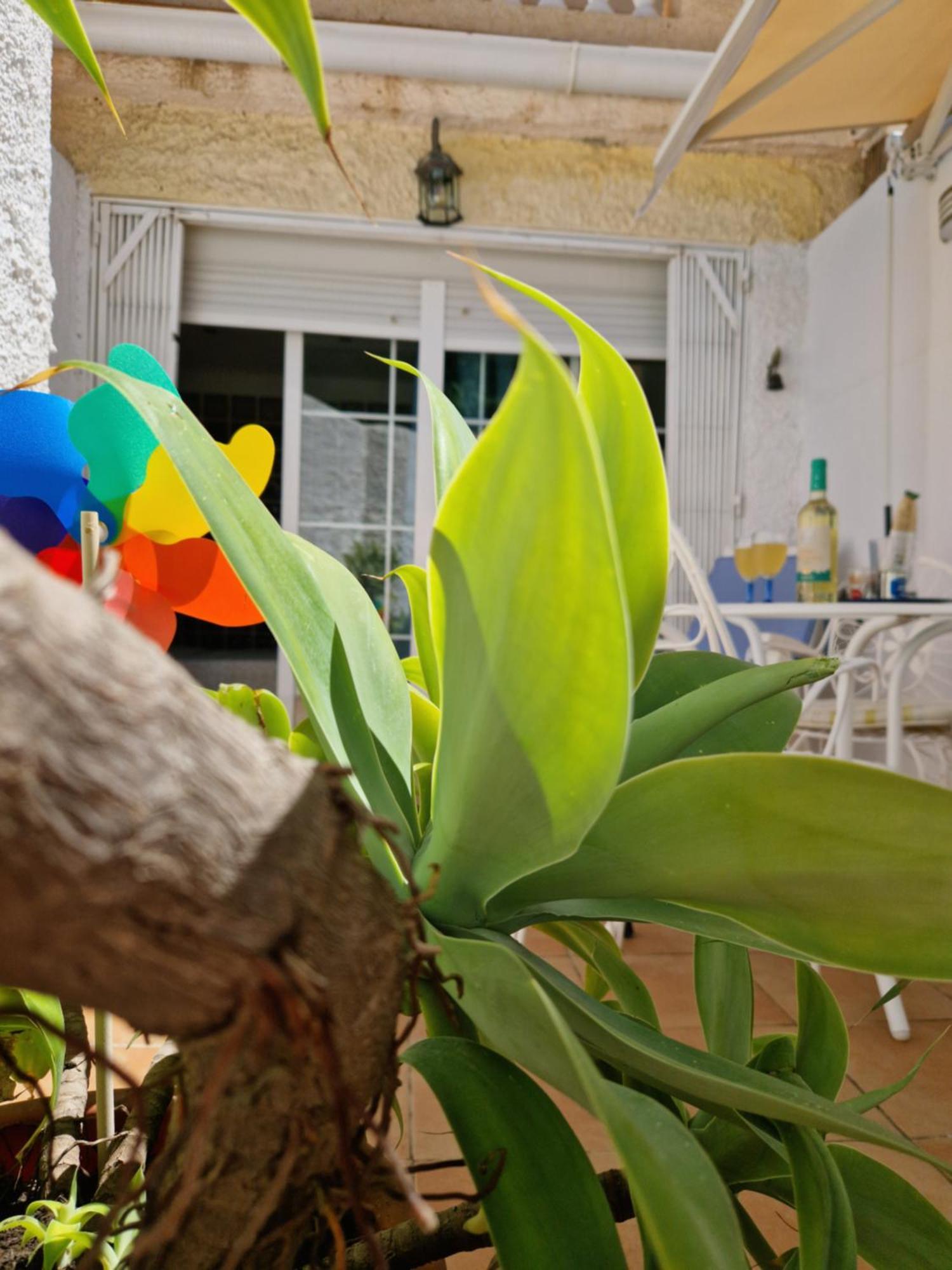 San Antonio - Beach, Pool And Terrace Torremolinos Ngoại thất bức ảnh